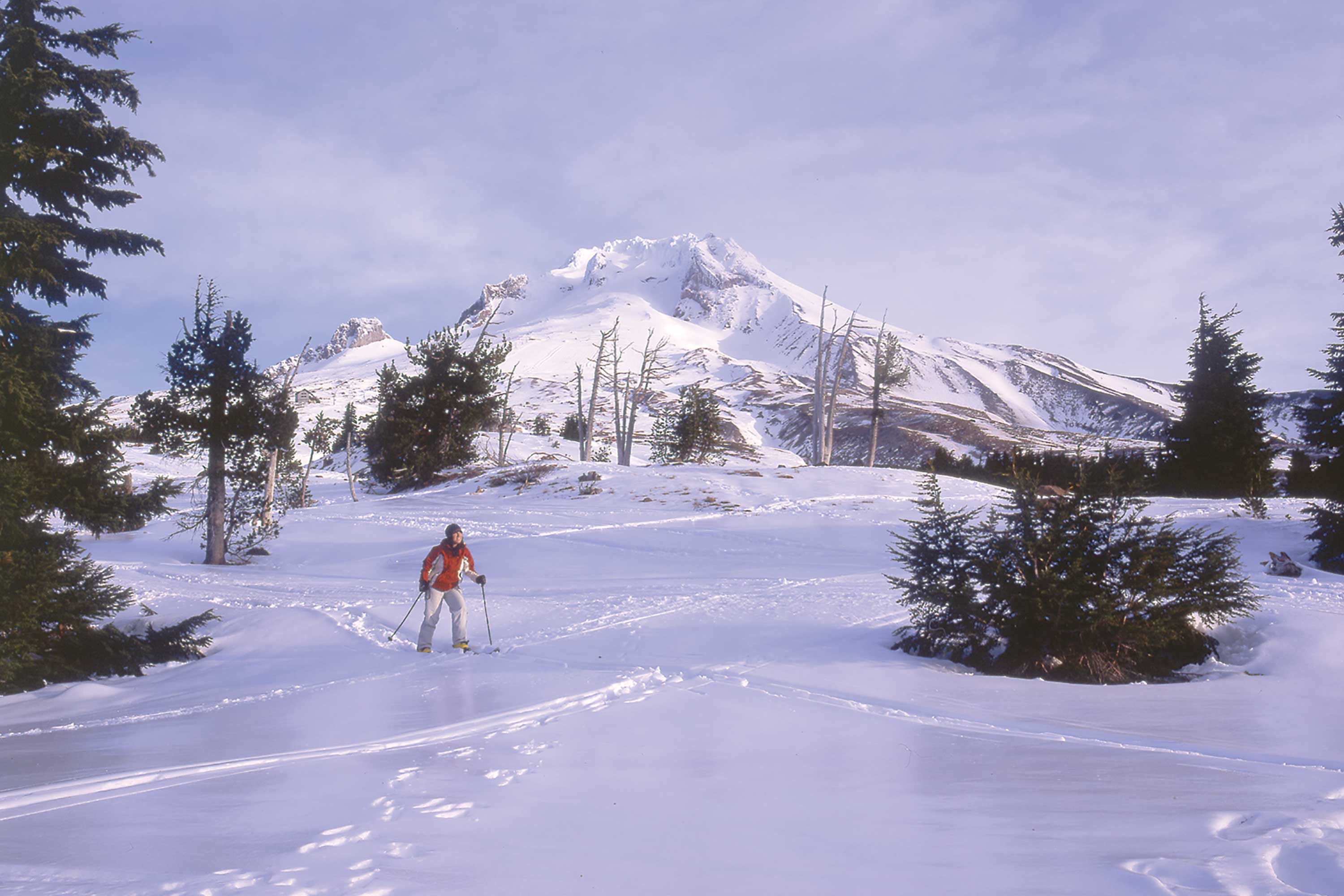 Us skis. Cross Country Skiing Oregon Resorts. Mount Hood Ski.