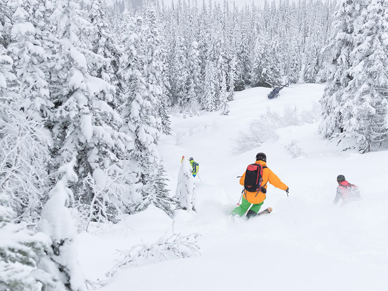 Last Frontier Heliskiing Holidays And Travel | Canada | travel&co