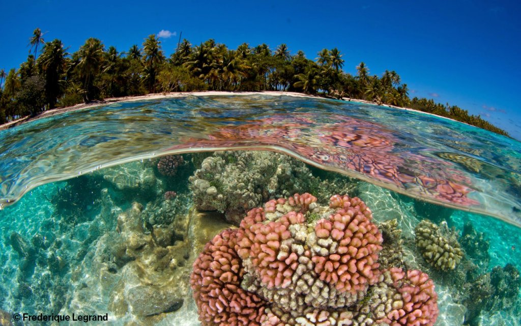 Rangiroa French Polynesia