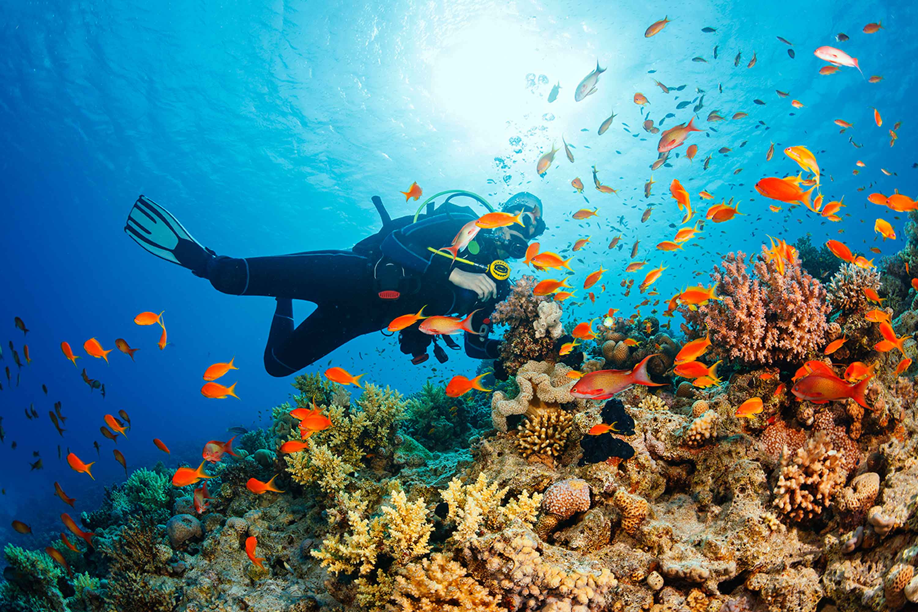 Dive holidays with travel&co