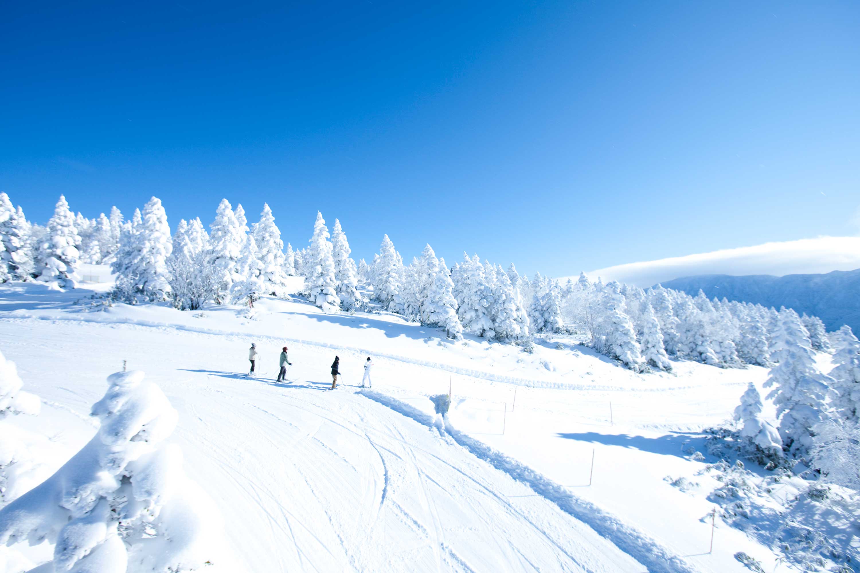 Ski Shiga Kogen Early Bird ski holiday deal