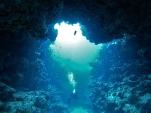 Dive New Caledonia