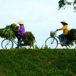 Mekong Bike Adventure in Cambodia and Vietnam