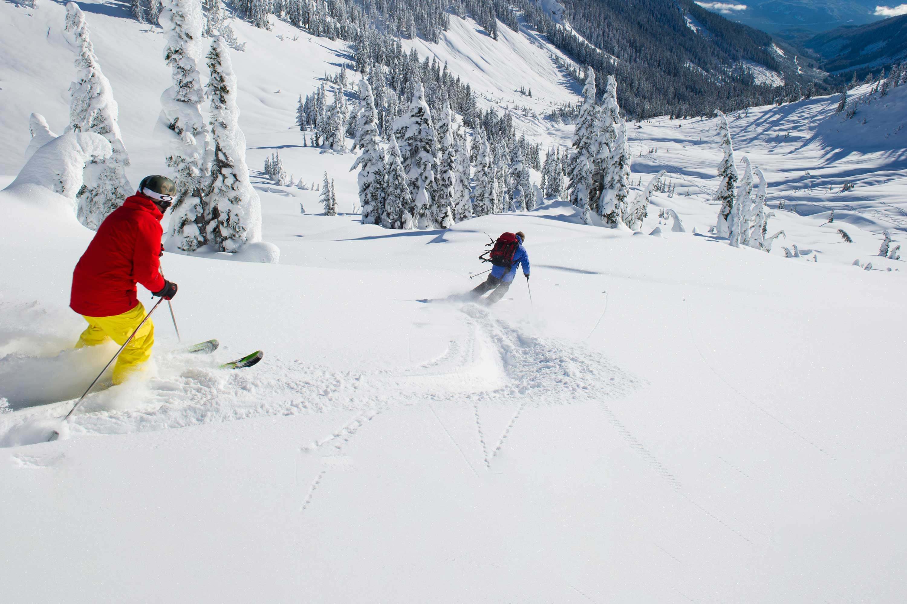 Whistler ski holiday twin share Canada