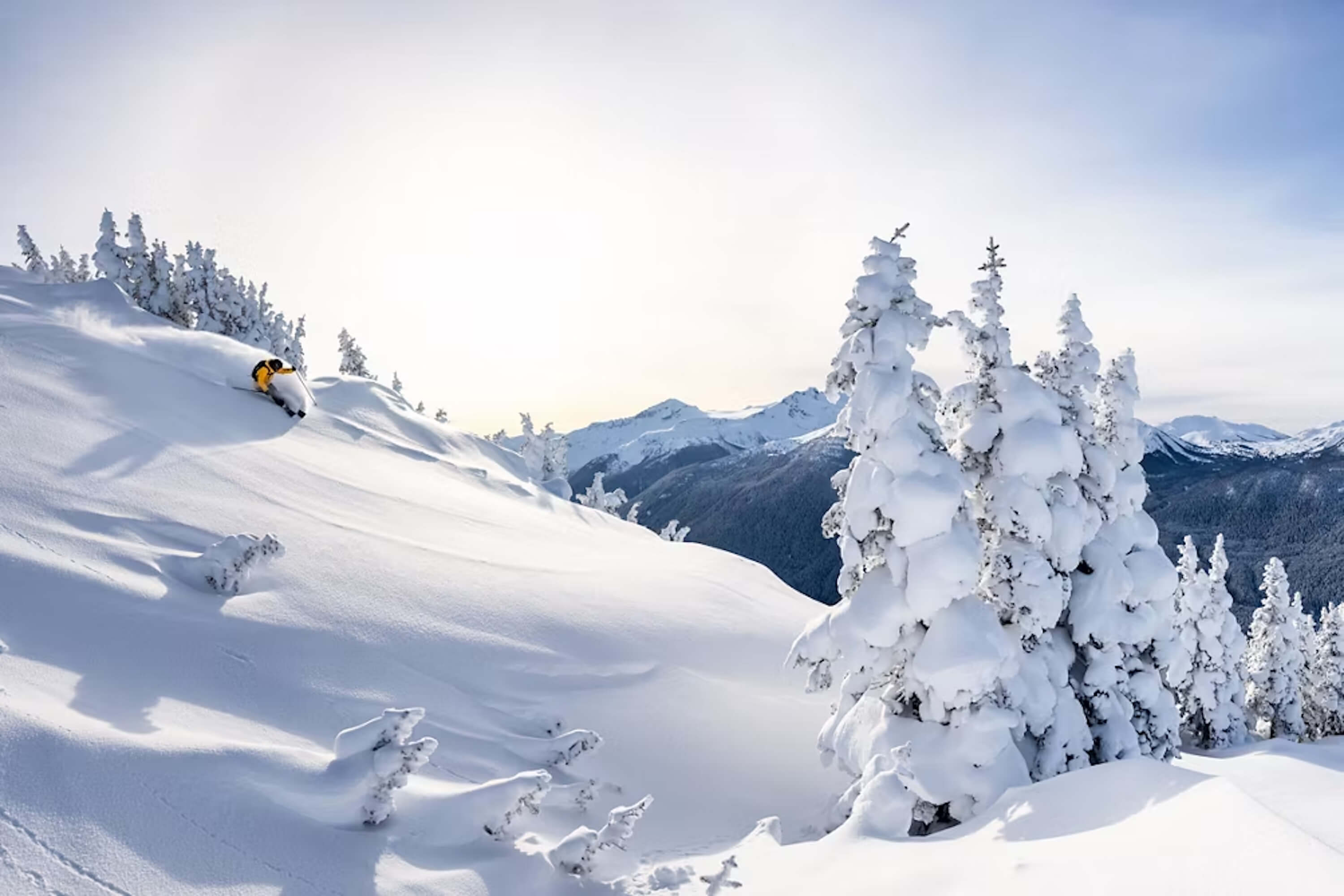 Ski Whistler
