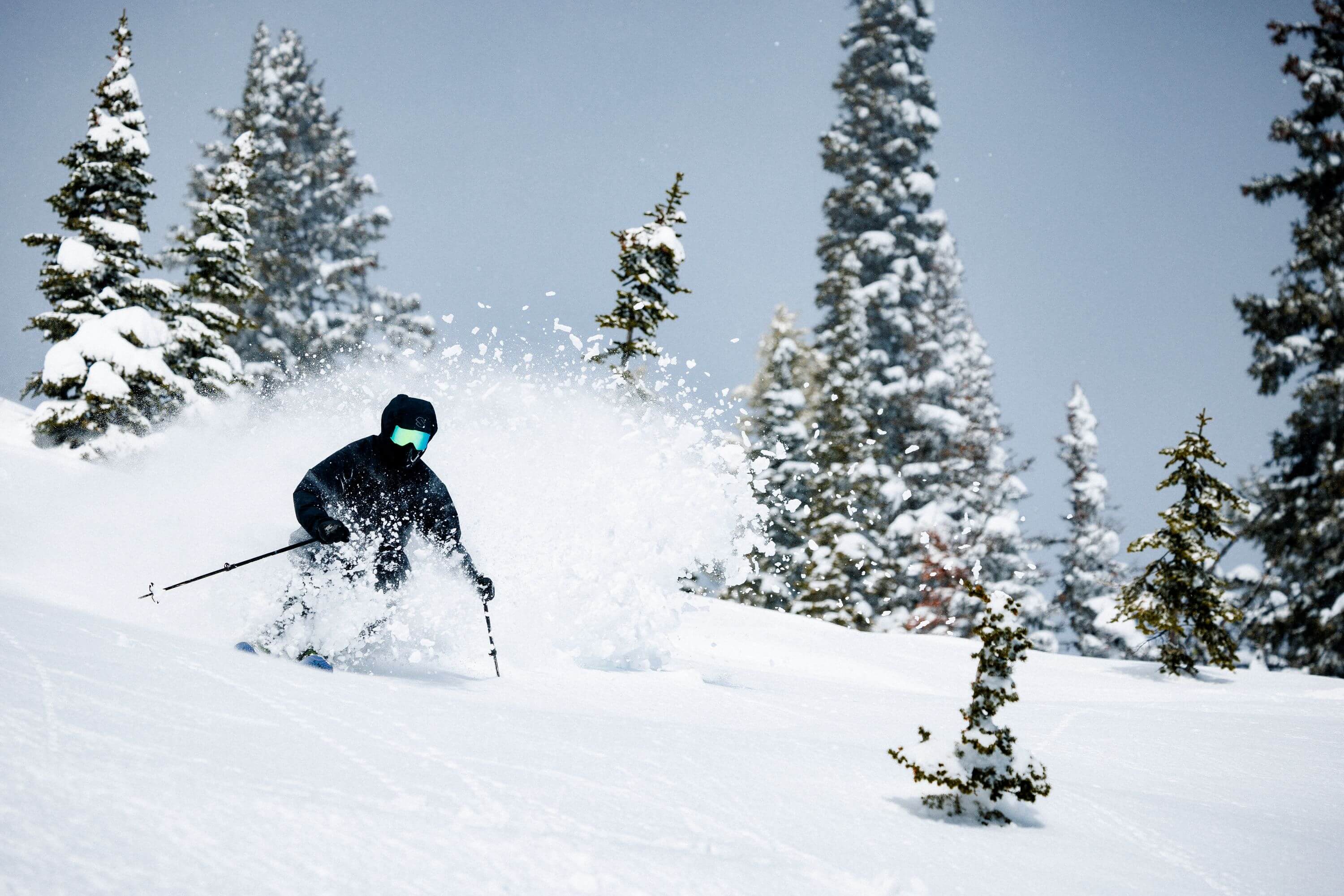 Fernie