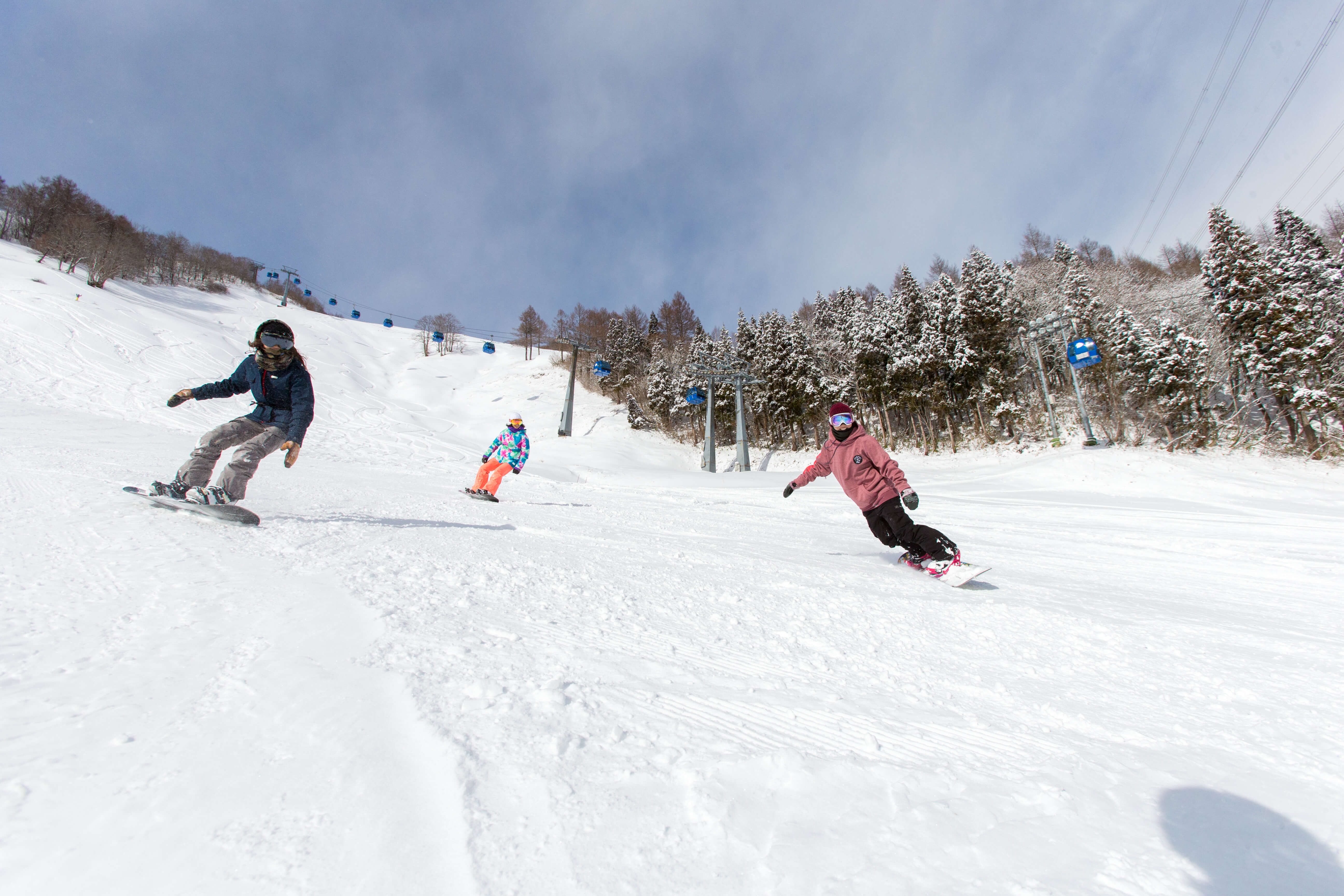 Hosted Group Ski Tour Japan