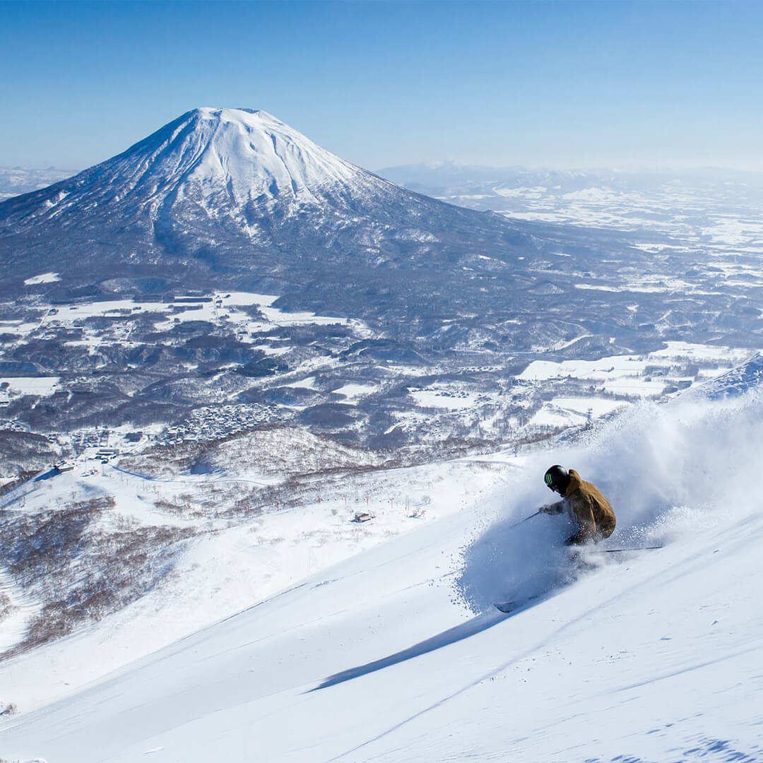Niseko Special Offer